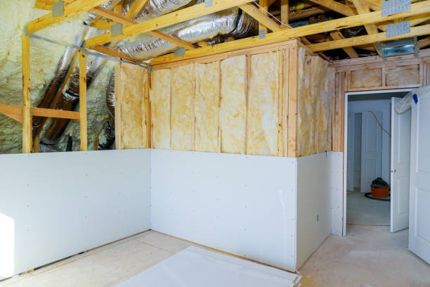 Best Wall Insulation Contractor  in Swainsboro, GA