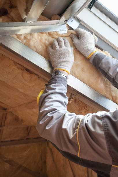 Best Professional Insulation Contractor  in Swainsboro, GA