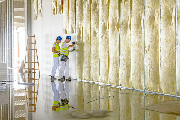 Best Insulation Replacement Services  in Swainsboro, GA